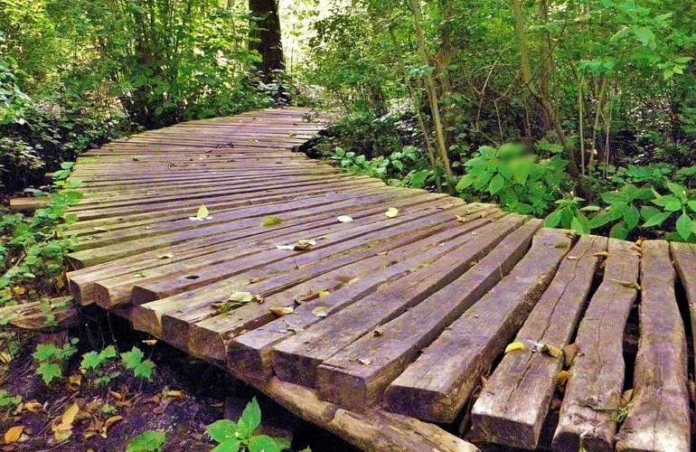 Options de finition du chemin de jardin