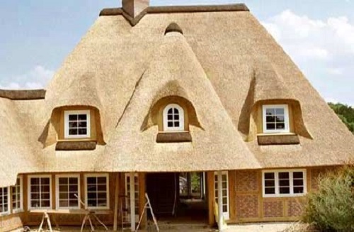 Toit de roseau Toit de roseau