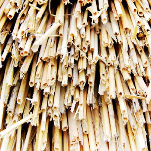 Matériau pour toit en roseau Matériau pour toit en roseau