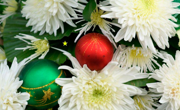 Fleurs dans un intérieur de Noël