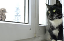 comment isoler les fenêtres en plastique de l'intérieur