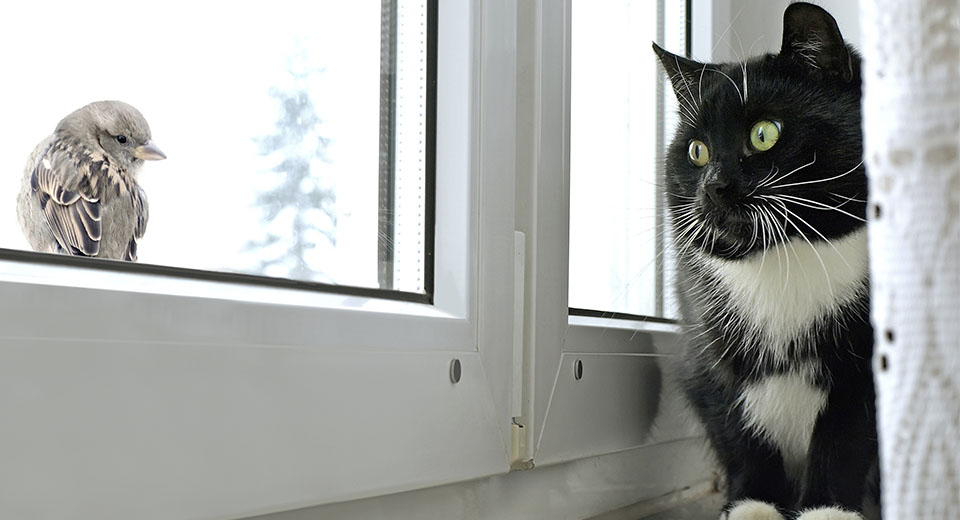 comment isoler les fenêtres en plastique de l'intérieur