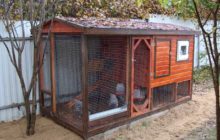 poulailler à faire soi-même pour 10 poules