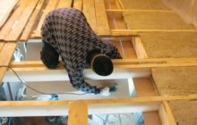 isolation du plafond