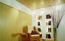 Comment choisir des panneaux en plastique pour les murs et les plafonds