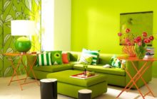 Couleur verte à l'intérieur - les règles de combinaison